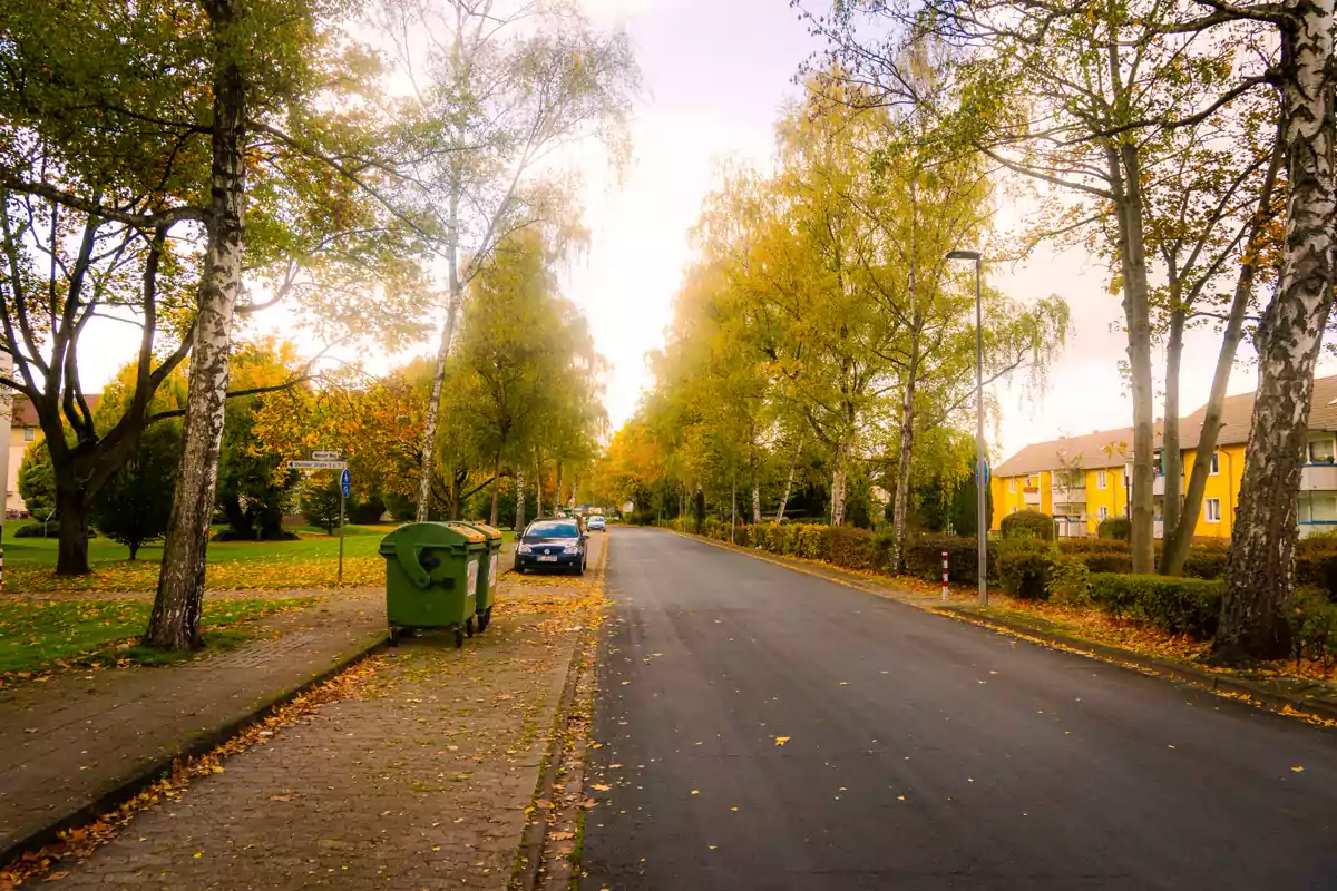 Eine ruhige Wohnstraße führt unter herbstlichen Bäumen entlang