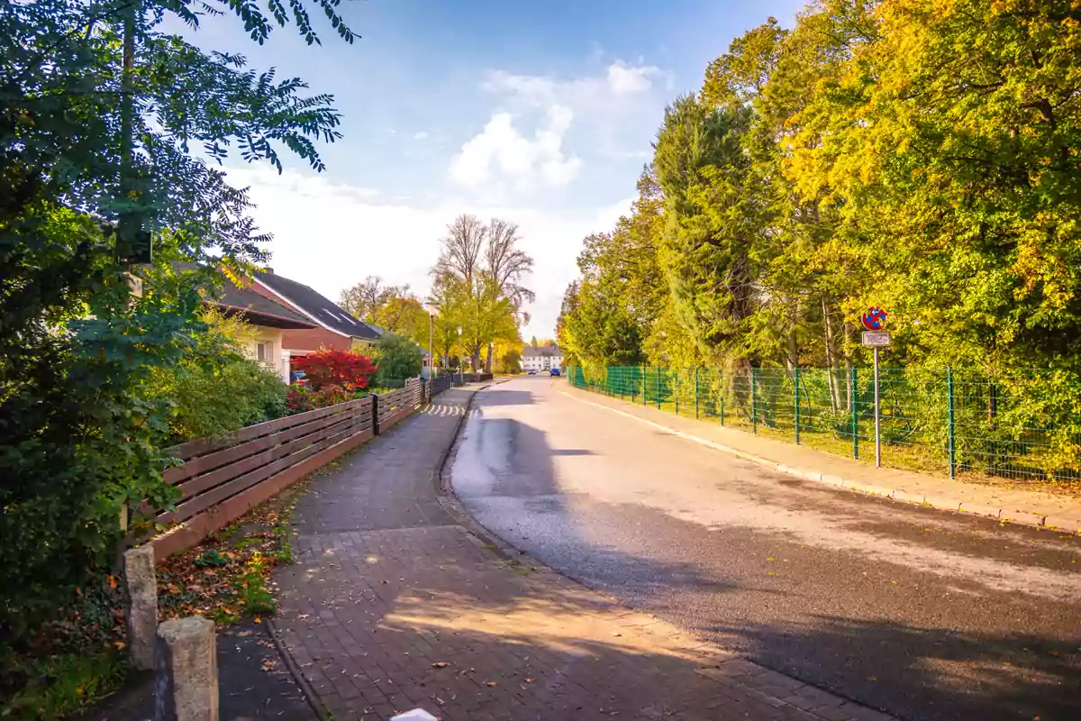 Eine deutsche Wohnstraße verläuft zwischen Häusern und Herbstbäumen